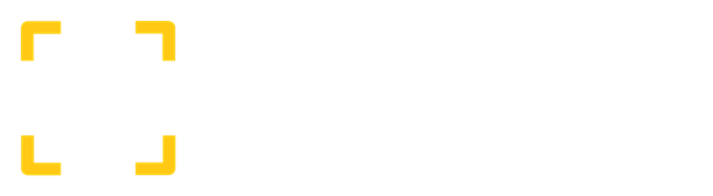 SnagScan